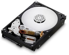 Hikvision Usa HK-HDD1T Hard Drives Hard Disk Drive, Surveillance Grade, Sata, 1tb Hkhdd1t 816783010507